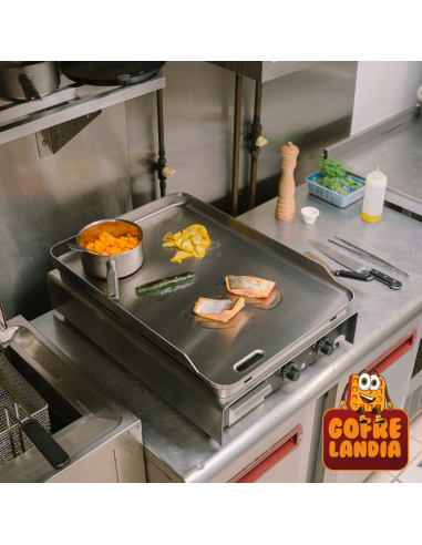 NUEVA Plancha eléctrica profesional en acero inoxidable Confort en profundidad (trifásica 20A), 5400 W, PCPR2BC