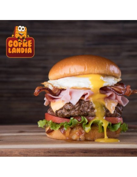 NUEVA Plancha a gas profesional , gama Confort de acero inoxidable, 5800 W, dos zonas de cocción.