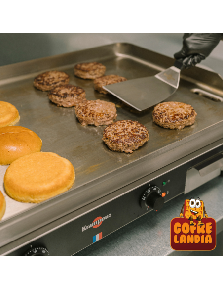 NUEVA Plancha a gas profesional , gama Confort de acero inoxidable, 5800 W, dos zonas de cocción.