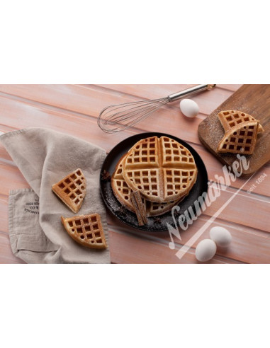 Juego de Placas para Gofre Americano - Backsystem