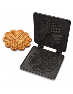 Juego de Placas para "Big Heart" - Backsystem