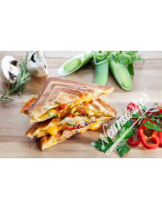 Juego de Placas para Sandwich - Backsystem 2