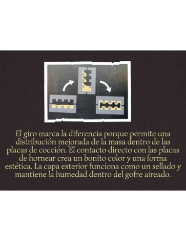 El Swing-Backsystem