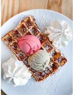 Gofrera 4x6 Lieja Paty 180° simple I/D  WECAGA 2